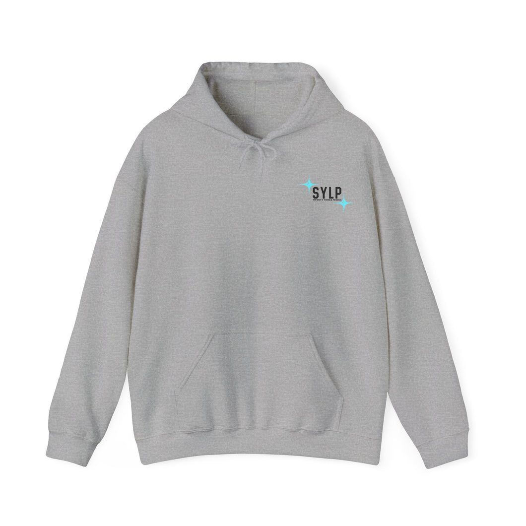 Support Your Local Privateer - Unisex Hoodie Heavy Blend™ Hooded Sweatshirt